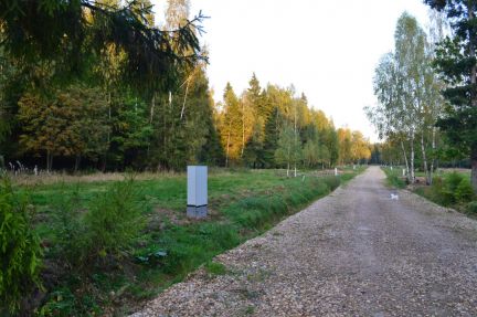      ( 2)