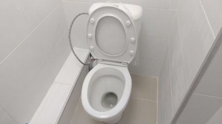 ����� ��������� ���������� ���������� ����� ������ ����� ���������� ��������� 94�4 (���� �19)