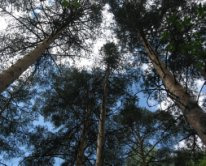 ������ ��������� ������� 12 ����� ���������� (���� �2)