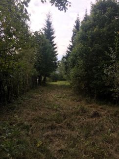       ( 9)