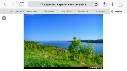 ������ ��������� ������� � ���������� �������� (���� �5)