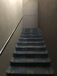 ����� ���� � �� ������� ���� (���� �14)