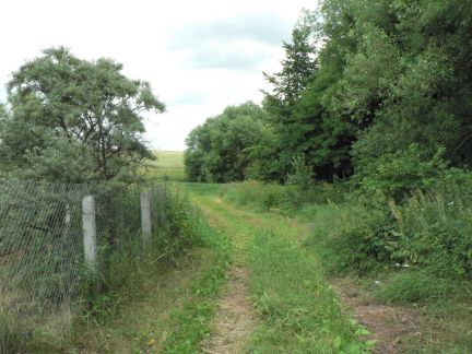 ������ ��������� ������� �� �-� ���������-�������� � ���. ��������� ��� �������� (���� �2)