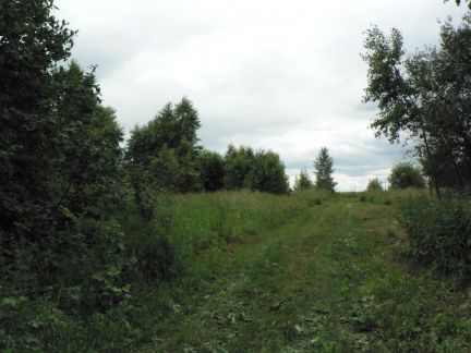 ������ ��������� ������� �� �-� ���������-�������� � ���. ��������� ��� �������� (���� �3)