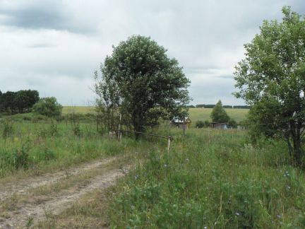 ������ ��������� ������� �� �-� ���������-�������� � ���. ��������� ��� �������� (���� �4)