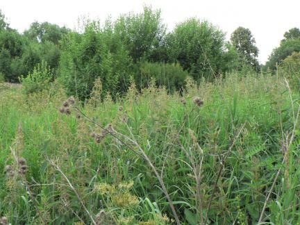 ������ ��������� ������� �� �-� ���������-�������� � ���. ��������� ��� �������� (���� �5)