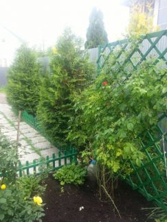 ������ ��� ��� ����� (���� �3)