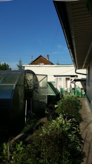 ������ ��� ��� ����� (���� �4)