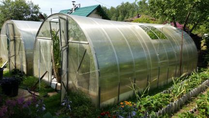 ������ ��� ��� ����� (���� �5)