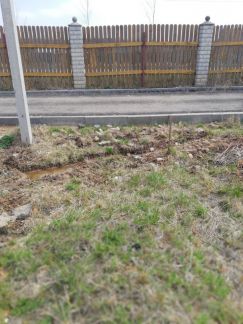 ������ ��������� ������� ���-�������� ���������������� ����� ����� ������� (���� �3)