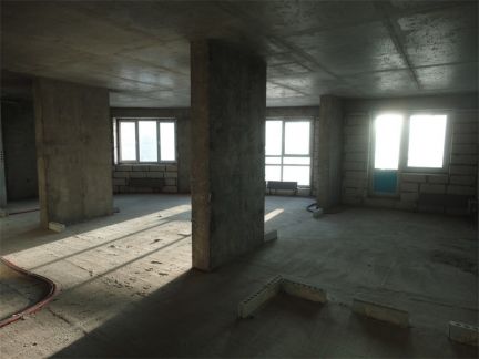     ( 11)
