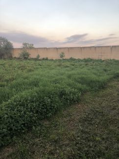 ������ ��������� ������� 8 ����� ������� ������� ��.����� �������� (���� �2)