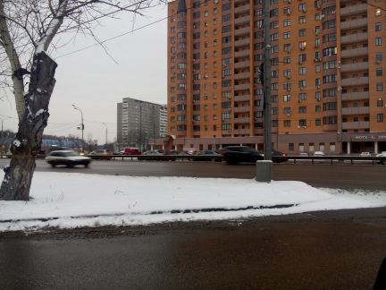 ����� �������� ��������� ����� ����������� ����������� ����� �55 (���� �7)