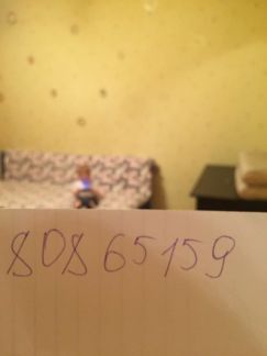 ����� �������� ��������� ����� ����������� ����� 24 2 (���� �17)