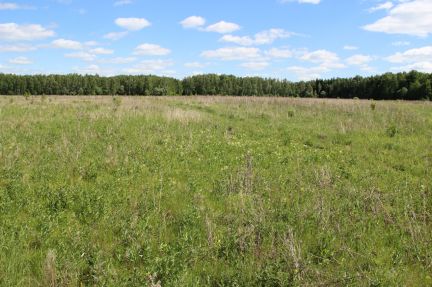 ������ ��������� ������� ������� ��a��o�� (���� �5)