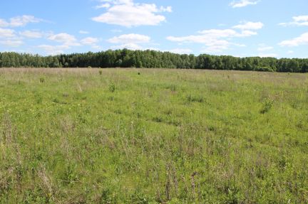 ������ ��������� ������� ������� ��a��o�� (���� �6)