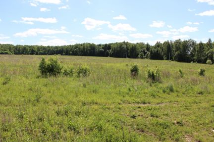 ������ ��������� ������� ������� ��a��o�� (���� �8)