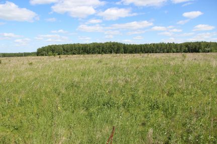 ������ ��������� ������� ������� ��a��o�� (���� �4)