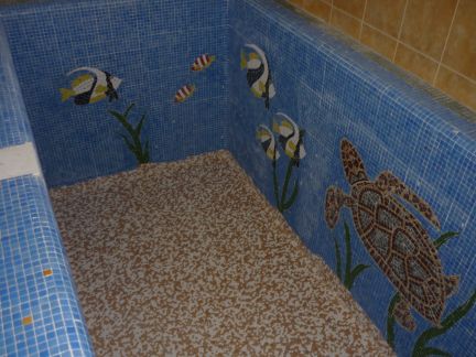 ������ ���� ���������� ������� (���� �10)