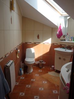 ������ ���� ���������� ������� (���� �17)