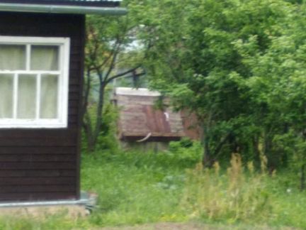 ������ ��� ���. ������� (���� �5)