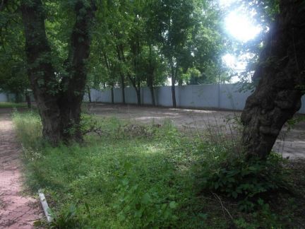 ����� ��������� ���������� ���������� ��������������������� ����� (���� �19)