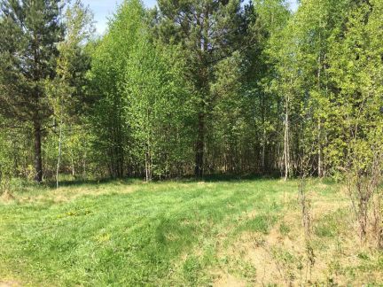 ������ ���� � ��� ������� (���� �3)