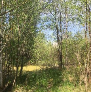 ������ ���� � ��� ������� (���� �6)