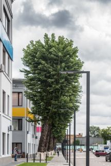 ����� ���� �� ���������� 1�18 (���� �6)