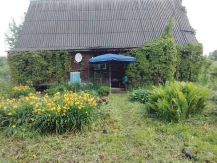 ������ ��������� ������� ����� ������� (���� �2)