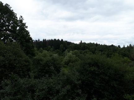     ( 4)