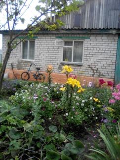 ������ ��������� ������� ��������� ������� ��. ���� (���� �4)