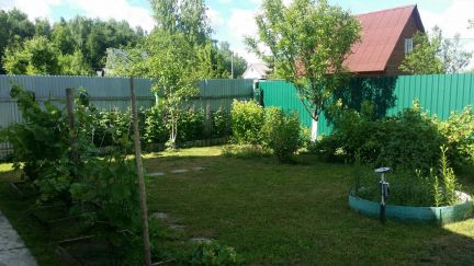 ������ ��� ��� ����� (���� �9)