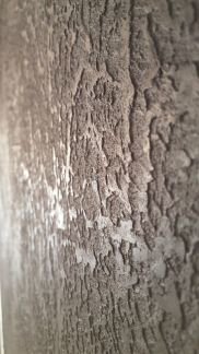 ������ ��������� ���������� ���������� ��������������� (���� �2)