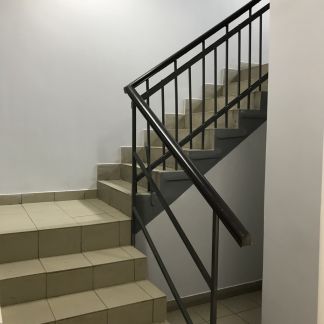        233 ( 2)