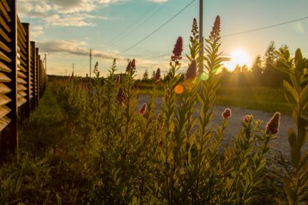 ������ ��������� ������� ��������������� ����� (���� �20)