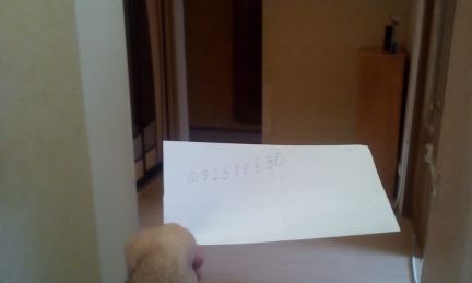 ����� �������� ��������� ��������� ����� (���� �11)