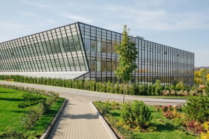 ����� ���� ����� ������������� ��� �-� ����������� (���� �4)