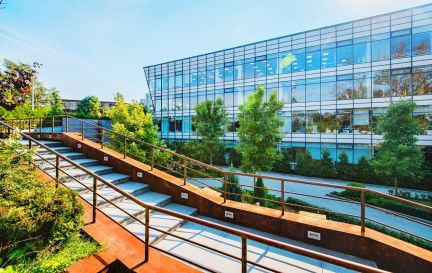 ����� ���� ����� ������������� ��� �-� ����������� ��. ������ (���� �8)