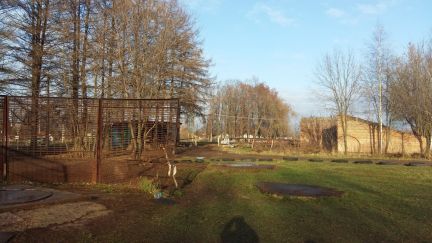 ������ ��������� ������� �������������� ����� (���� �6)