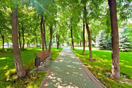 ����� ���� ����� ������������ 2-� ��������� ����� 2�3 (���� �13)