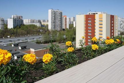 ����� ���� ����� ����� ��������� ������ (���� �17)