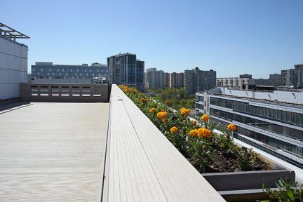 ����� ���� ����� ����� ��������� ������ (���� �18)