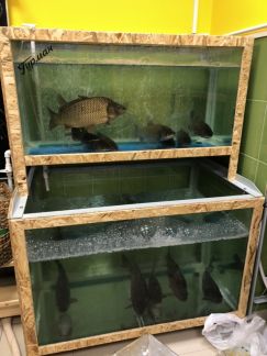 ������ ��������� ���������� ���������� ����� ���� ����� 5�3 (���� �11)