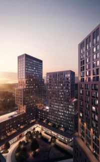 �� vander park ������ (���� �5)