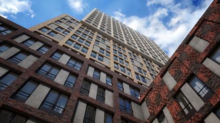 �� vander park ������ (���� �7)