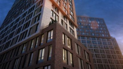 �� vander park ������ (���� �11)