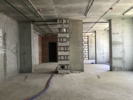 �� �������� ����� ������� (���� �11)