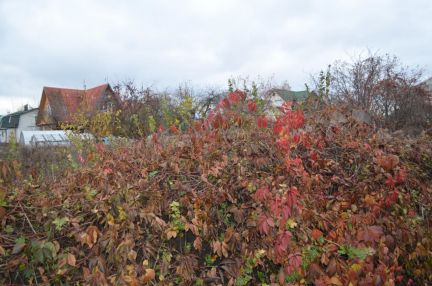 ������ ��������� ������� 12 ����� ������� ������� ��� ������ (���� �3)