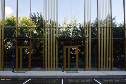 ������ ������� ����� ������� �������� ����������� � (���� �8)